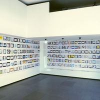 Small veliki izbor hlaca hdd  3 